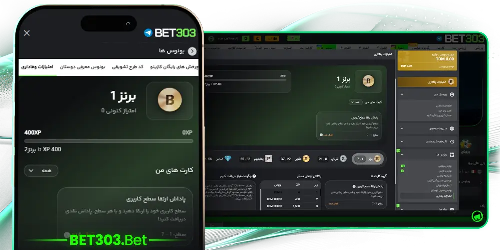 سیستم نمایندگی بت ۳۰۳ - کمیسیون 40 تا 50 درصد و درآمد پایدار